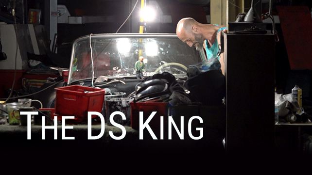The DS King